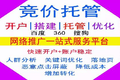 SEM推广实战：案例解析与策略探讨